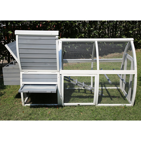 Pets Imperial® Chicken Coops Chicken Coop with Chicken Run For Up To 5